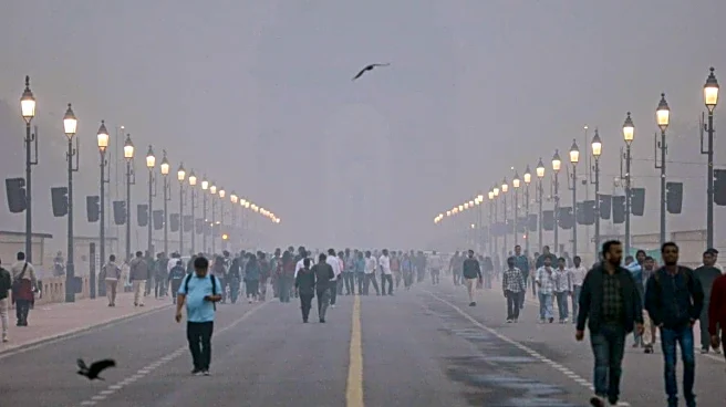 With Average AQI Of 271, Delhi Records Second-Best January In Five Years