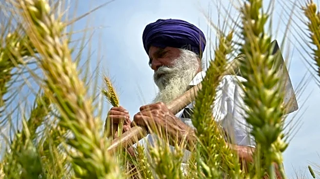 'Agriculture, Dairy Fully Protected': What Piyush Goyal Said On India-US Trade Deal | Top Points