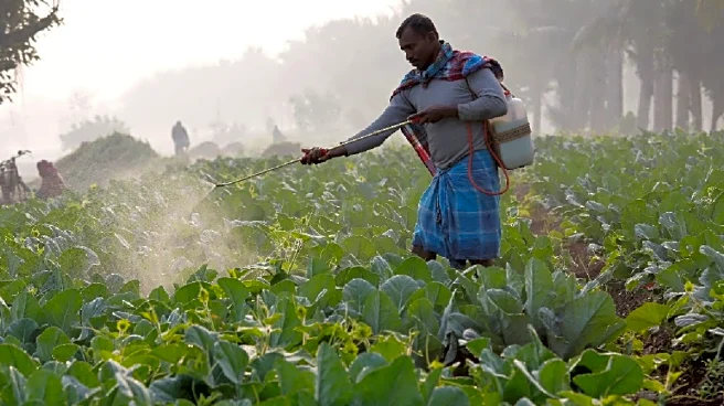 Trade Deal Will Allow India To Maintain Agricultural Import Protections: US Trade Representative