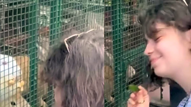 French Woman Highlights 3 Areas Where India Is Ahead Of Her Country: ‘Here People Are Ready To Help You’