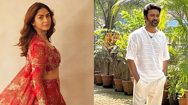 'Chennai Wala Sawaal Inse Tha Ya Mujhse': Siddhant Chaturvedi Teases Mrunal About Dhanush In Viral Video?