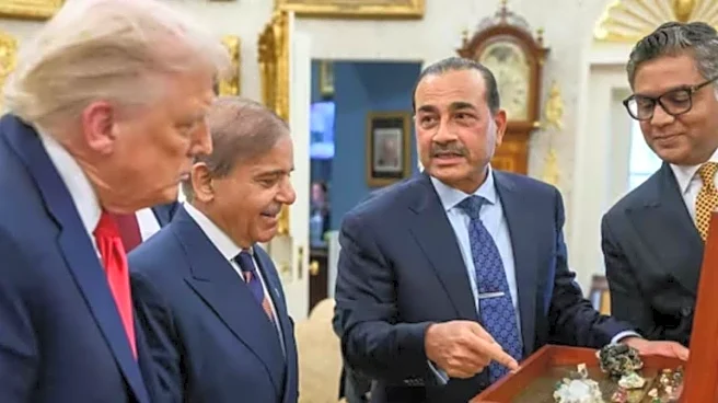 'Project Vault': Why Balochistan's Reko Diq Is The Only International Entry In US Critical Minerals Initiative