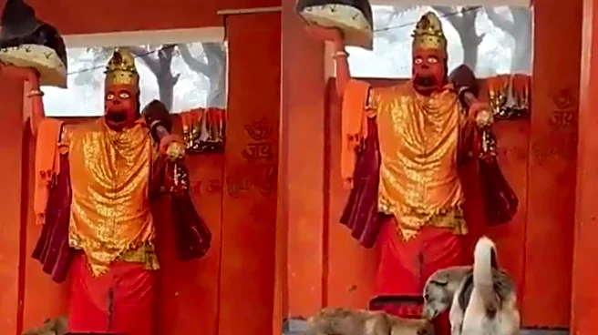 Dog’s Bijnor Temple ‘Parikrama’ Around Lord Hanuman Was More Than Faith. He Was Rushed To Hospital, Doctors Said...