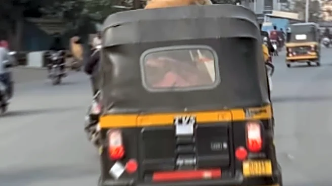Pune Roads Get Pawsome Upgrade: Dog Rides Atop Auto Rickshaw Like The ‘Lord Of The Streets’ | Video