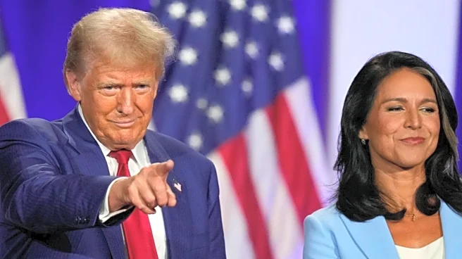 Whistleblower Alleges Tulsi Gabbard Blocked Intel Involving Person Close To Trump: Report