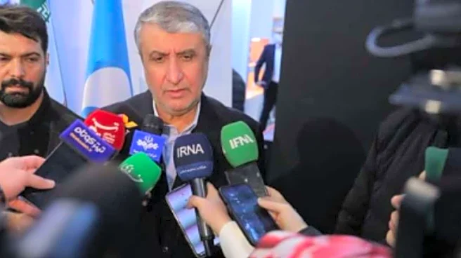 Iran Will Dilute Its Highly Enriched Uranium If All Sanctions Lifted: Nuclear Chief