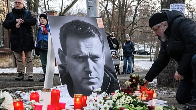 UK, Four Others Blame Russia For Navalny Death, Cite ‘Dart Frog Toxin’