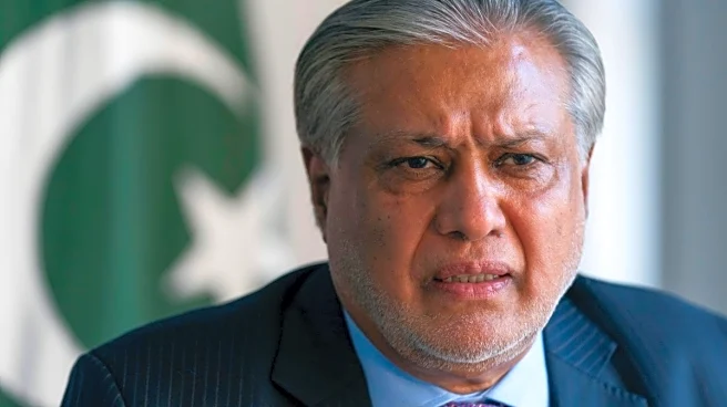 Pakistan Deputy PM Loses Balance While Greeting Egyptian Counterpart In Islamabad | Watch