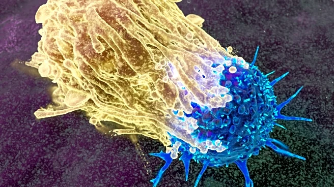 This Single Injection Shrinks Tumours Across The Body, Leaves Some Patients Cancer-Free, New Study Shows