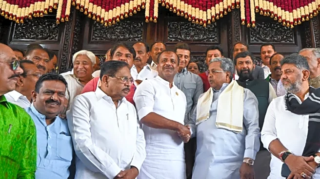 Rs 2 Lakh Salary Plus Perks — And Now Free IPL Tickets: Inside The Wallet Of A Karnataka MLA