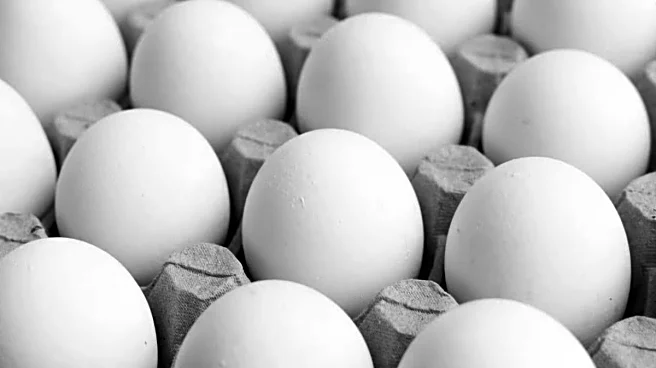 Eggs In Uttar Pradesh Will Now Carry Expiry Dates: New Rule Kicks In Today | Here's What Changes