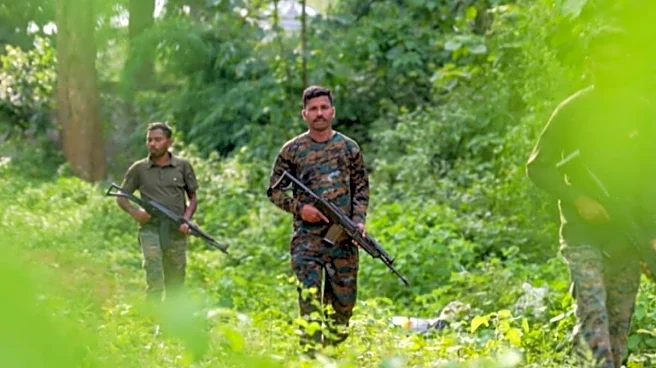 Security Push Shrinks Maoist Activity To Final Pockets As India Passes 'Naxal-Free' Deadline
