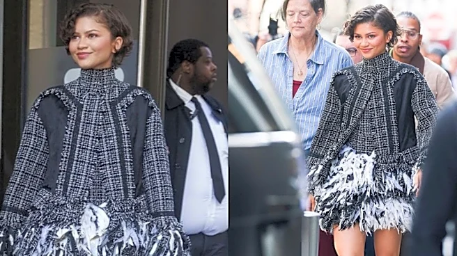 Zendaya Ditches The Bridal Theme And Steps Out In Erdem For The Drama Press Tour