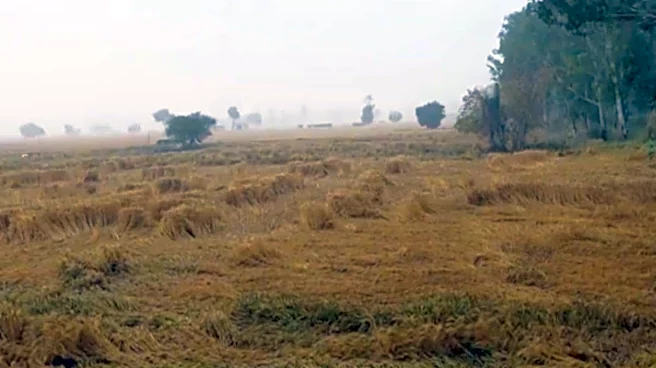 Unseasonal Rain Cools Cities But Farmers Bear The Brunt As Erratic April Weather Damages Crops