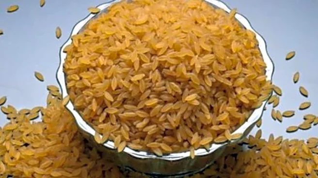 Three Times More Protein, Diabetes-Friendly: All You Need to Know About Nutrition-Packed ‘Designer Rice’