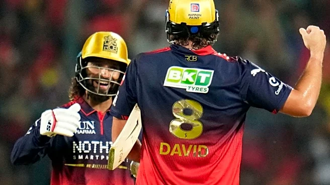 'Escorted The Ball With Goodbye': RCB Fans In Awe Of Tim David 'Assault' Vs CSK