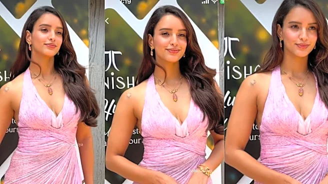 Triptii Dimri Glows In Blush Pink Maria Lucia Hohan Dress At An Event