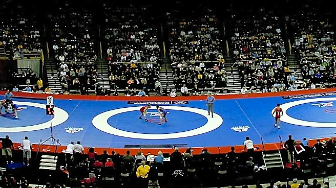 Senior Asian Wrestling Championships: Nitesh Wins Silver As India Add Three Medals