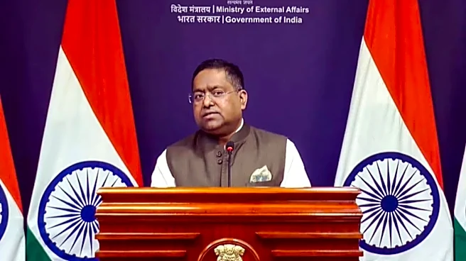 Concerned Over Civilian Casualties In Lebanon: India On Israeli Attacks