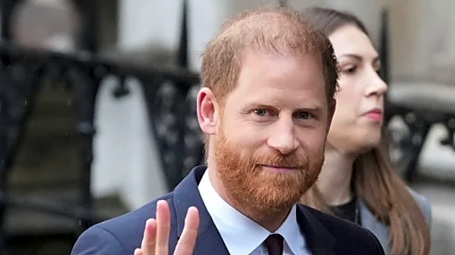 Prince Harry Sued For Defamation By His Former Charity