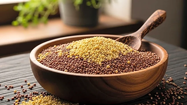 Jowar, Ragi Or Bajra: How To Choose The Right Millet Flour For Your Body Type