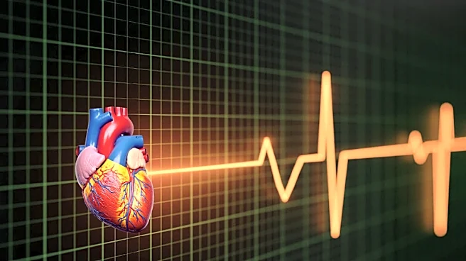 Heart Disease Warning: This New Blood Test May Be More Accurate Than Cholesterol