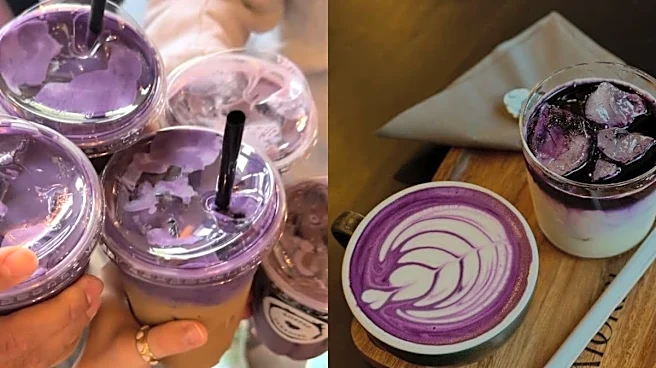 The Purple Takeover: Why Ube Is Ousting Matcha As The Internet’s Newest Culinary Obsession
