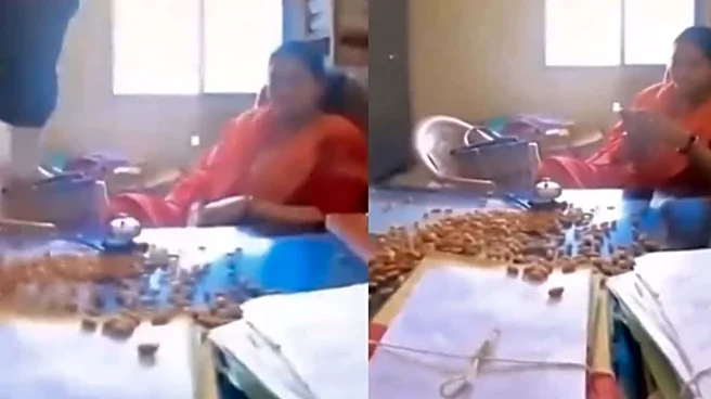 Frustrated Over Missing Files, Chattisgarh Man Throws Almonds On Govt Officer's Desk | Video