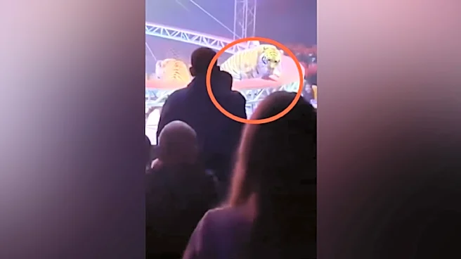 Circus Tiger Leaps Into Crowd In Russia; ‘Remain Calm Or You’ll Make It Worse,’ Trainer Says