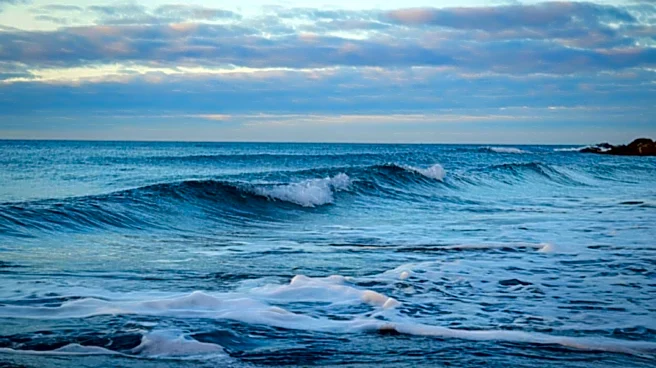 You Think Trees Make Your Oxygen, But This Is The Real Source