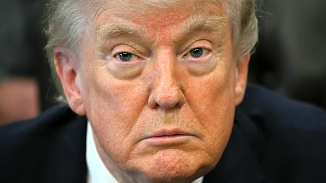 Only One Person Granted Donald Trump's 'Gold Card' Visa So Far