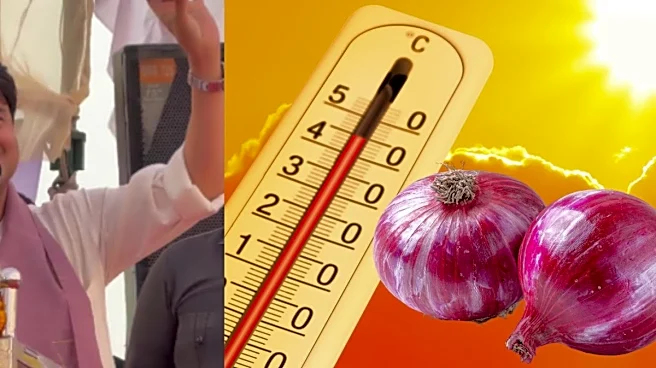 Can An Onion In Your Pocket Save You From Heatwaves? Truth Behind Jyotiraditya Scindia’s Viral Tip