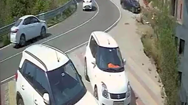 Two Killed After Car Plunges Into Gorge, Catches Fire In Himachal Pradesh | Video