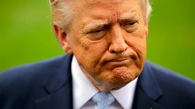 Heard Of TACO? Now There’s NACHO: What Trump's New Viral Nickname Means