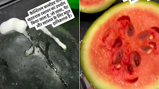 After Dokadia Deaths, Marathi Actor's Watermelon Video Goes Viral — What He Found Inside Will Alarm You