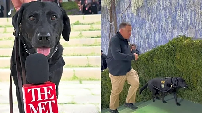 'Most Important Celebrity Of The Night': Meet Luna, The K9 Star Of The Met Gala 2026