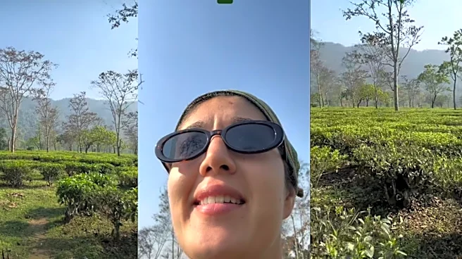 'Part Of India No One Shows You': Woman’s Unexpected Assam Tea Garden Discovery Turns Into A Viral Internet Moment