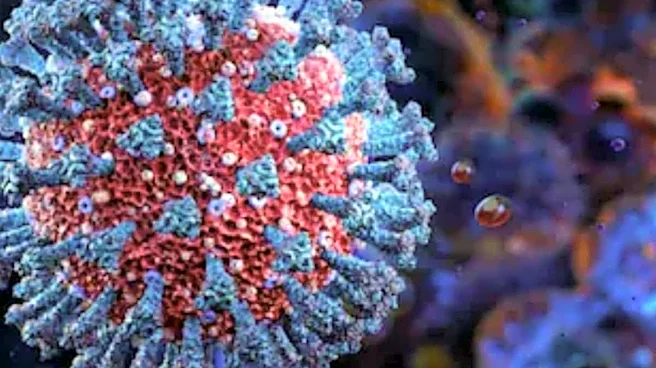 Hantavirus Vs Coronavirus: Which Is Deadlier, Which Spreads Faster, Symptoms And Who Is Most At Risk