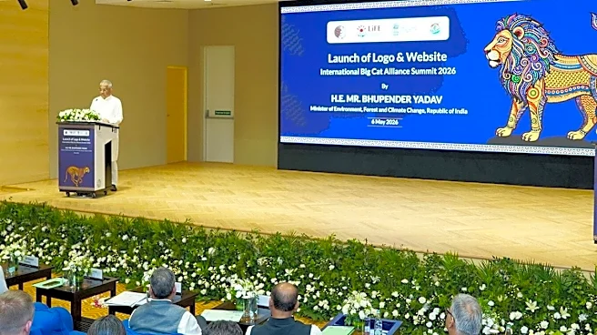 New Delhi Prepares To Host First Global Summit On Conserving Seven Big Cats On June 1-2