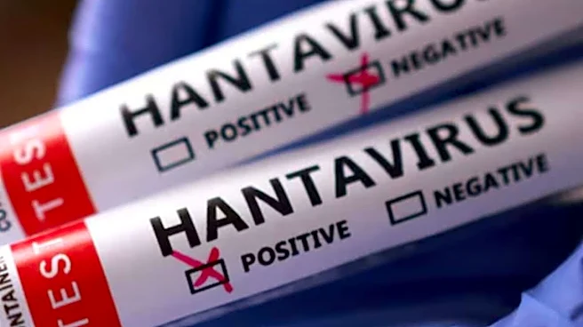 How Worried Should India Be About Hantavirus? ICMR Expert Explains After Cruise Outbreak