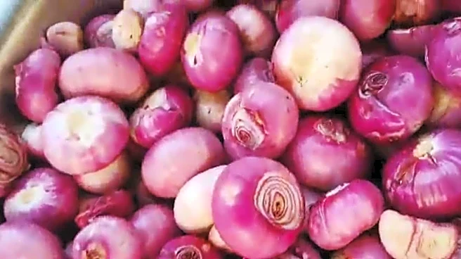 Peeling Tears: Has West Asia Conflict Created An Onion Crisis For India’s Farmers