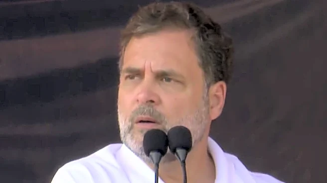 'Spending Beyond Income': Allahabad HC Directs CBI, ED To Probe Complaint Against Rahul Gandhi