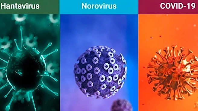 Hantavirus vs Norovirus vs COVID: Symptoms, Risk Factors And How To Tell The Difference