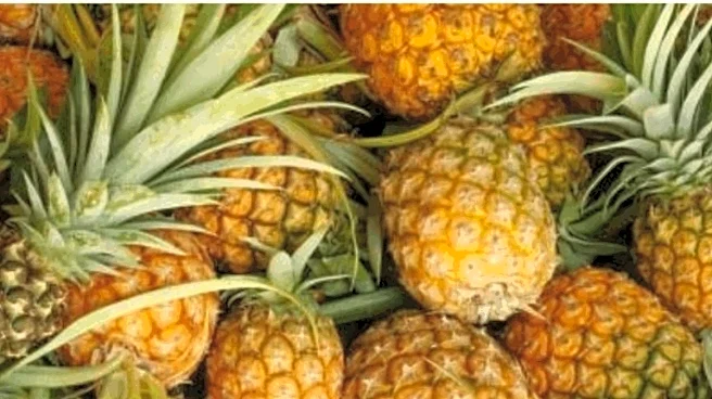 PM Modi Gifts Meghalaya's GI-Tagged Pineapples To UAE President