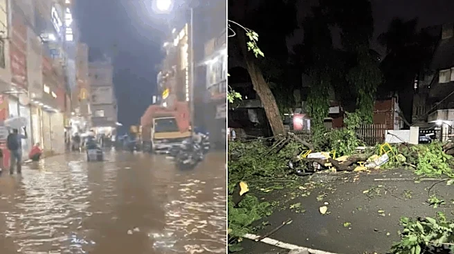 Trees Down, Metro Out, Wires Sparking In Bengaluru — And IMD Says Brace For More