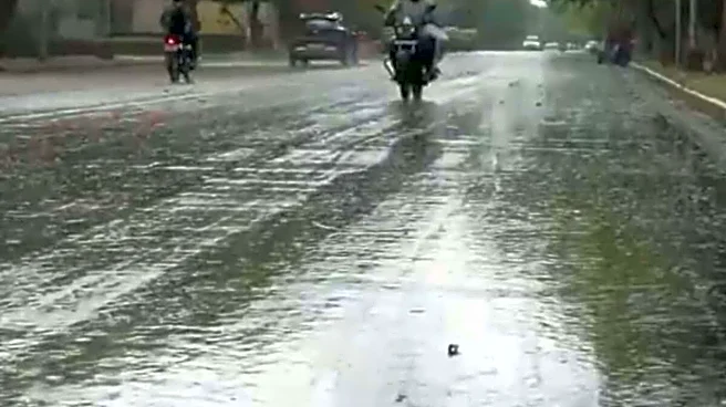 Rain, Cool Winds Bring Temporary Relief From Scorching Heat In Delhi-NCR