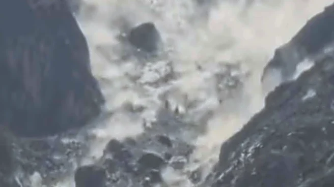 Avalanche Strikes Kanchan Ganga Near Badrinath Shrine In Uttarakhand | Video