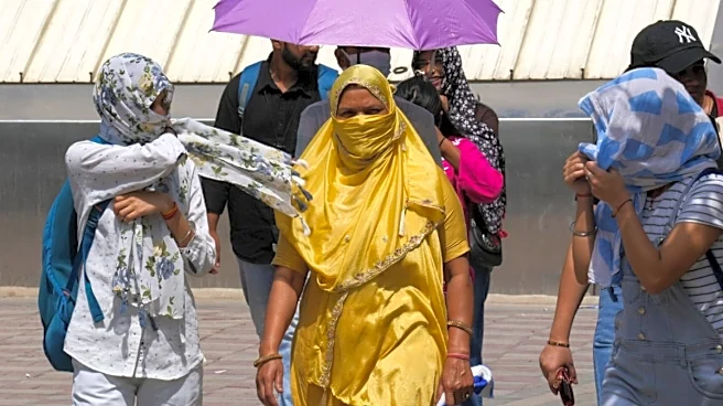 From Europe To India, What’s Driving The Record-Breaking Heatwaves Across Continents