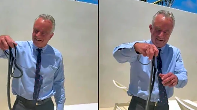 Robert F Kennedy Jr. Grabs Two Snakes Bare-Handed, Appears To Get Bitten In Viral Clip