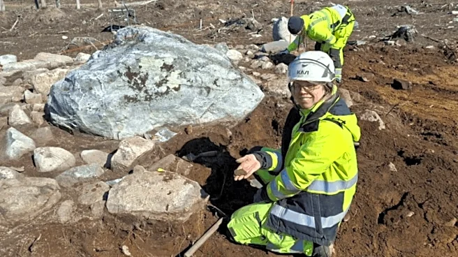 What Were These Doing There? Rare 2,500-Year-Old Neck Rings Found In Sweden. Their Cost Is..
